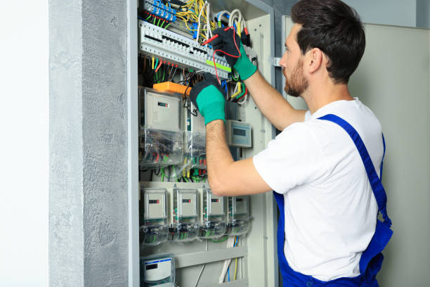 Best Ceiling Fan Installation Electrician  in Ormond By The Sea, FL